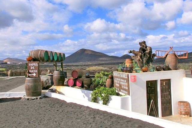 Wineries-in-lanzarote