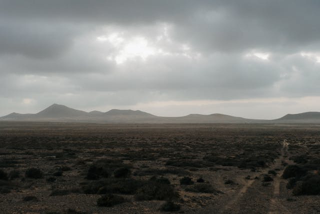 Temperature in Lanzarote in february