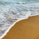 flamingo beach lanzarote