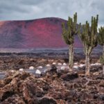 Lanzarote weather in October
